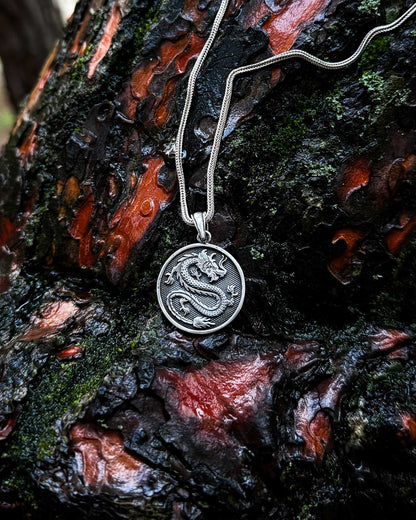 Collier médaillon dragon - Argent sterling 925
