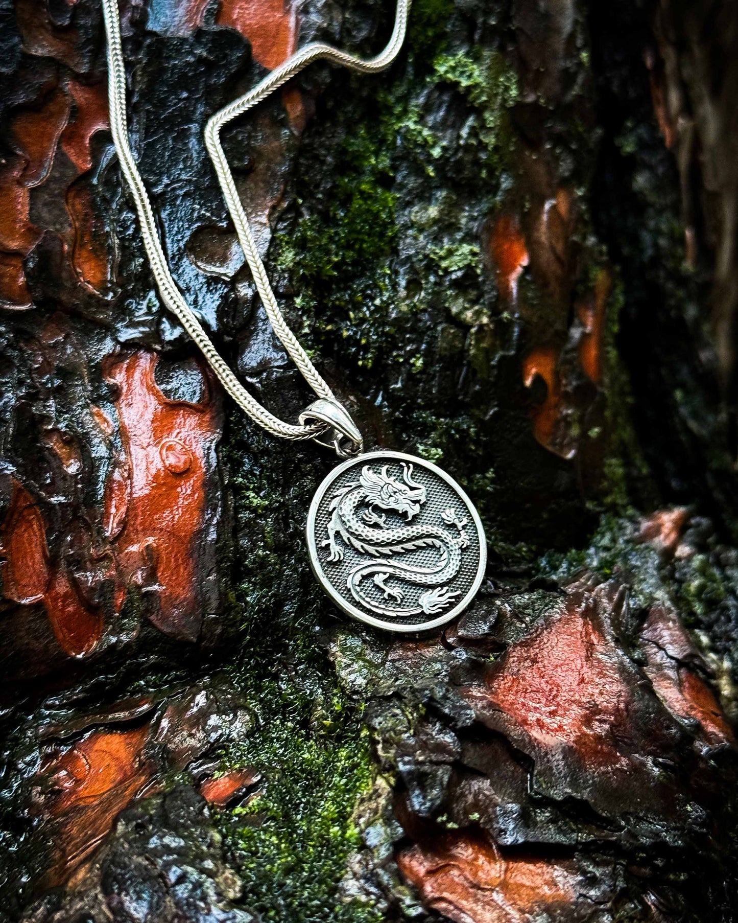 Collier médaillon dragon - Argent sterling 925