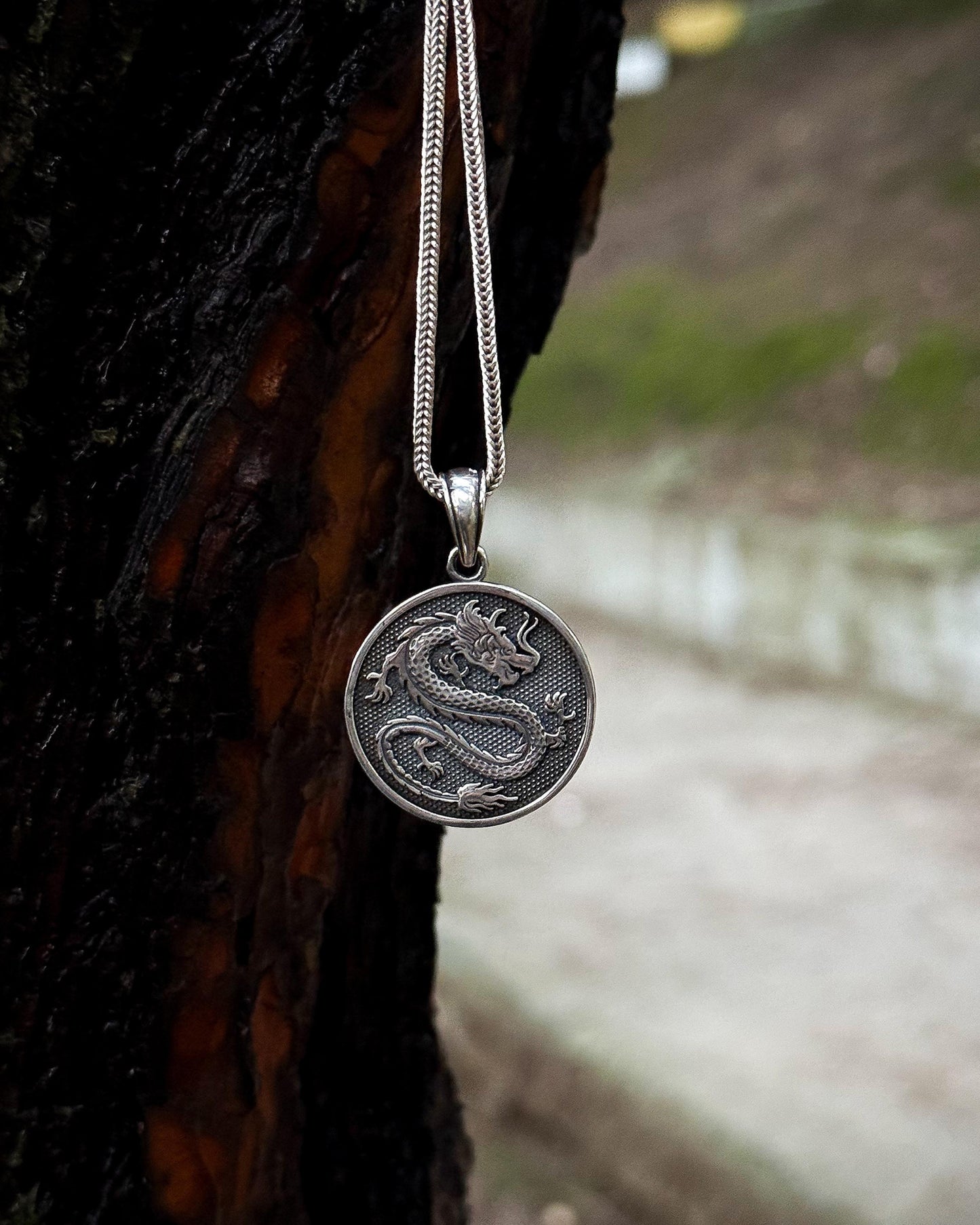 Collier médaillon dragon - Argent sterling 925