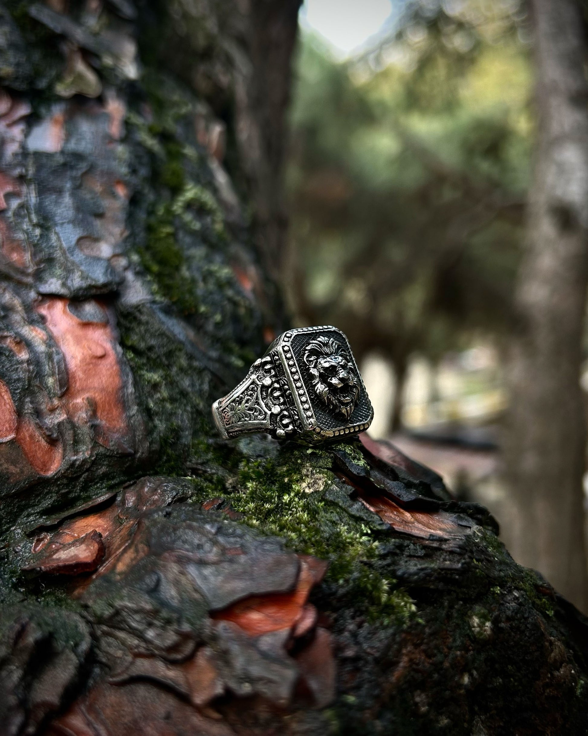 Yaşlı Aslan Başı Yüzük – 925 Ayar Gümüş-Yüzük-Osiris Jewelry