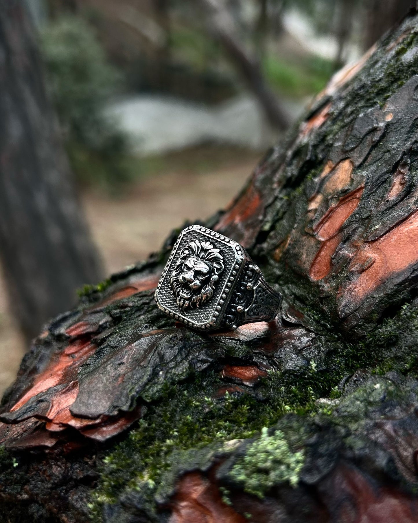 Yaşlı Aslan Başı Yüzük – 925 Ayar Gümüş-Yüzük-Osiris Jewelry