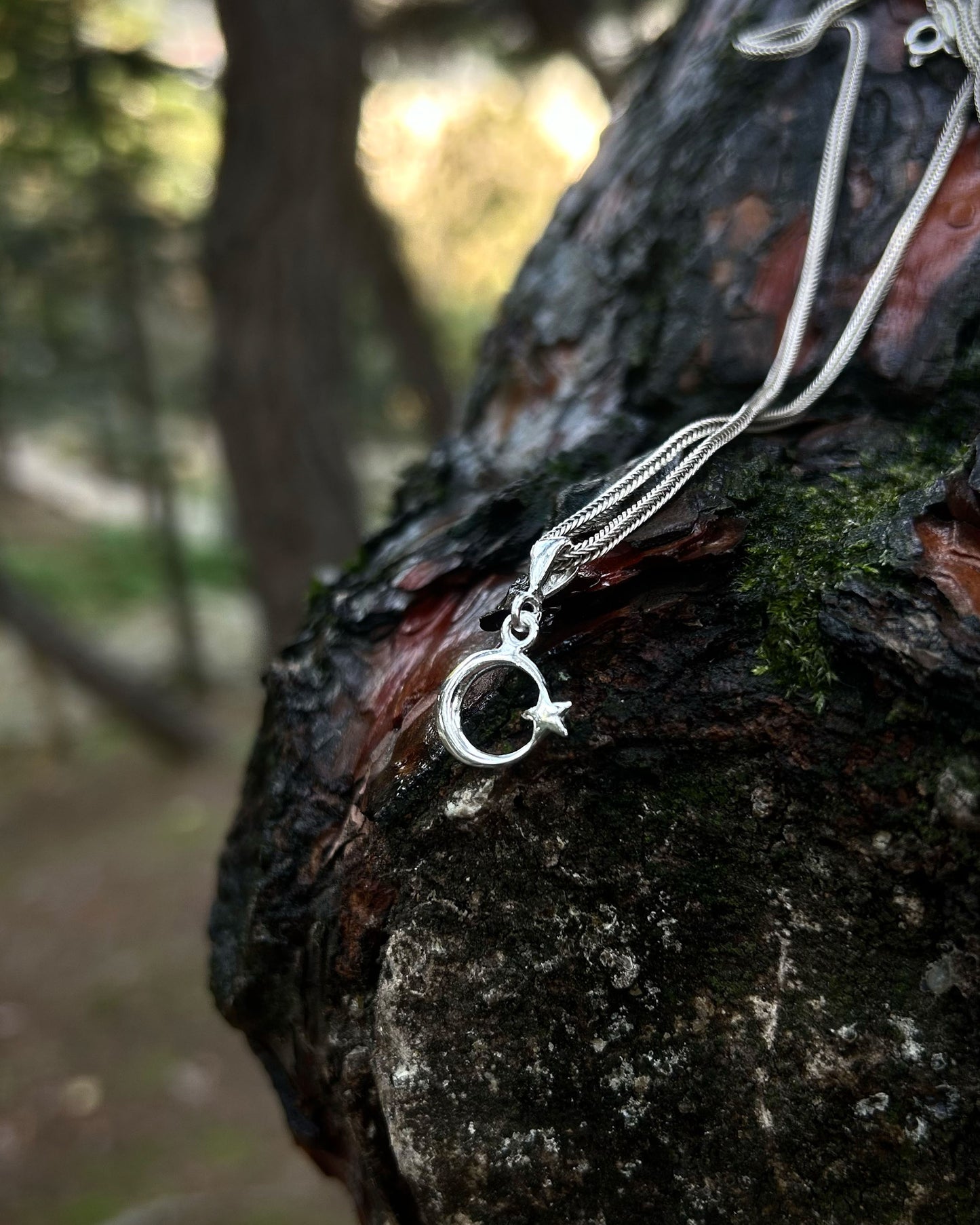 Minimal Ay Yıldız Kolye - 925 Ayar Gümüş