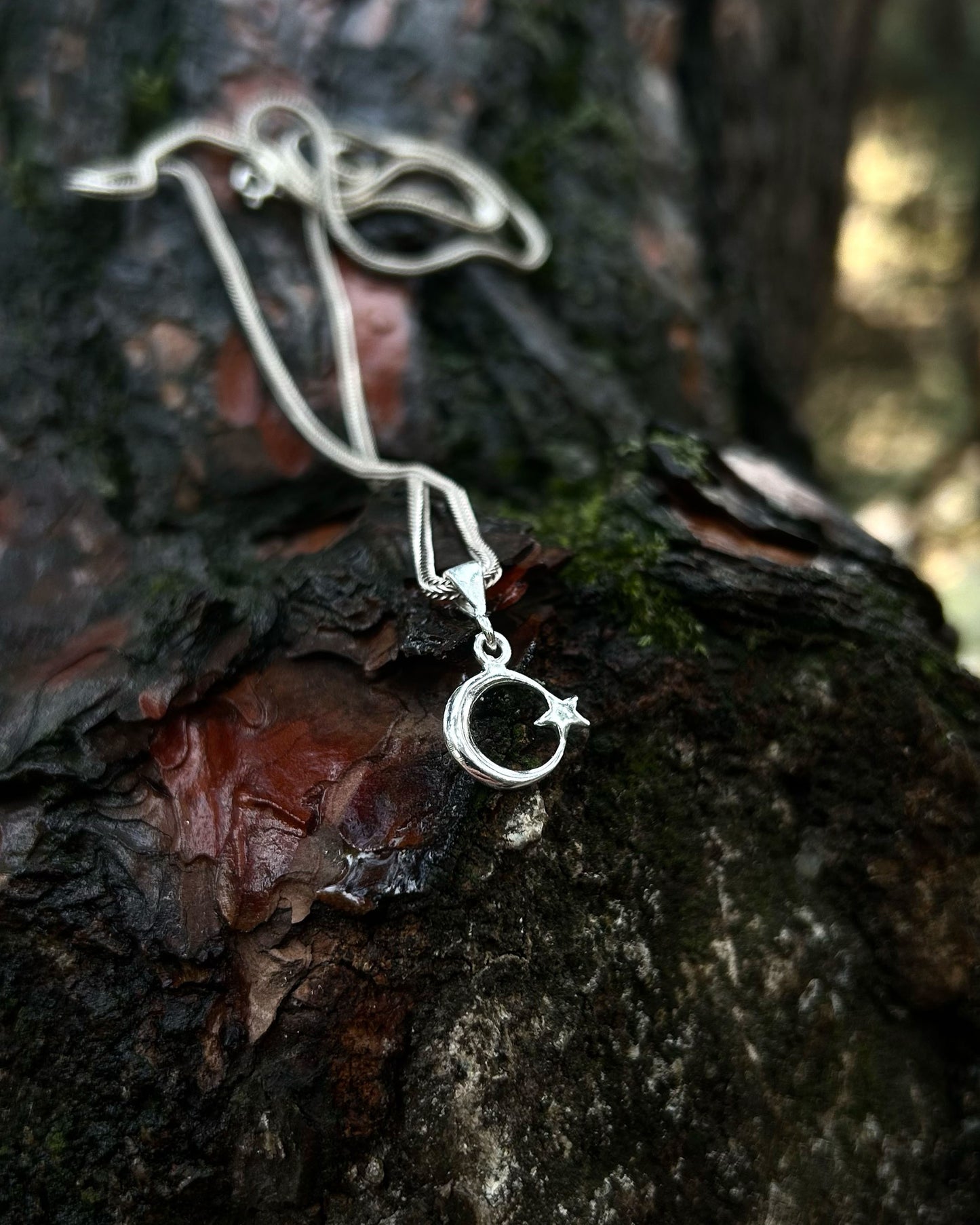 Minimal Ay Yıldız Kolye - 925 Ayar Gümüş