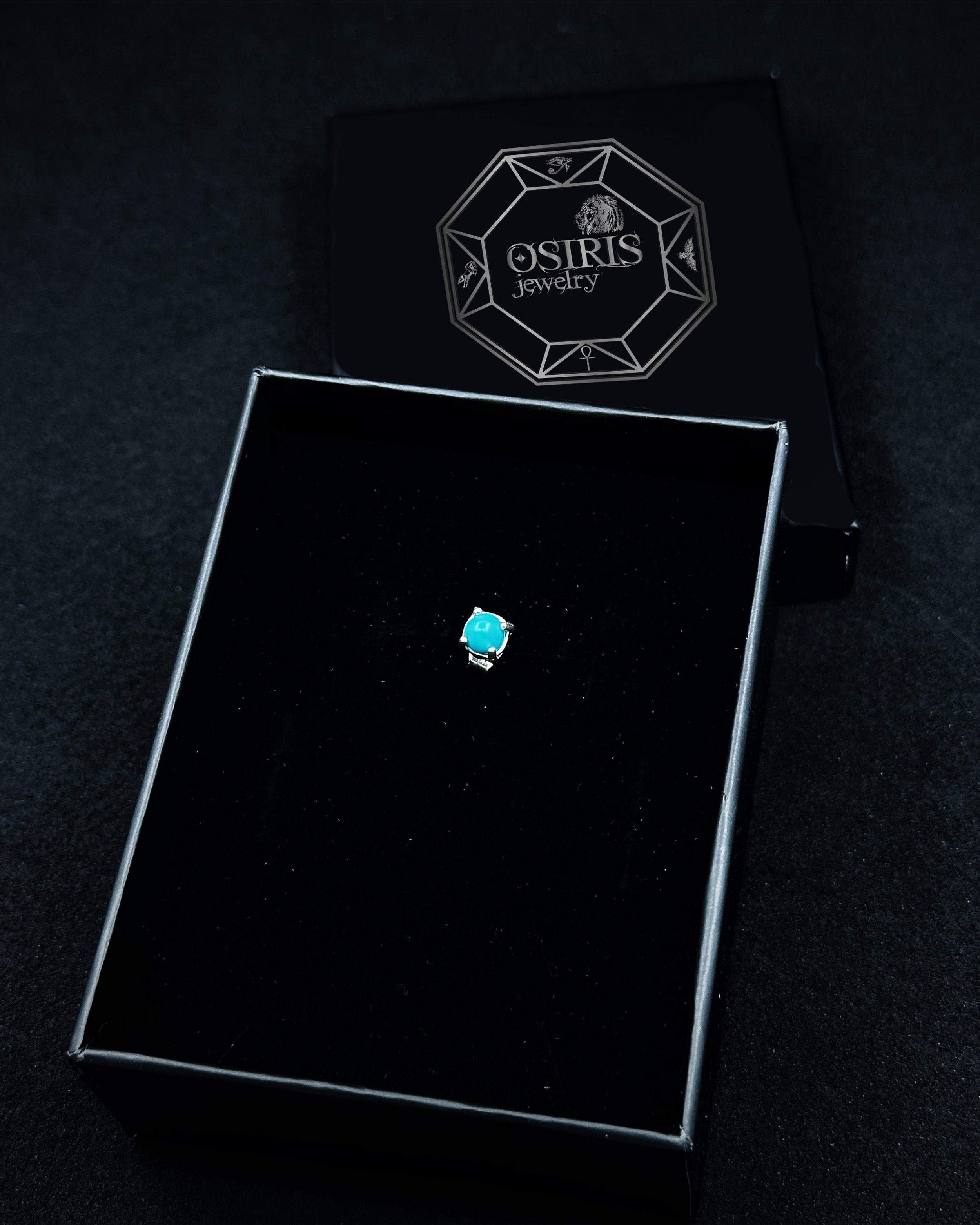 Mavi Taşlı Erkek Küpe - 925 Ayar Gümüş-Osiris Jewelry