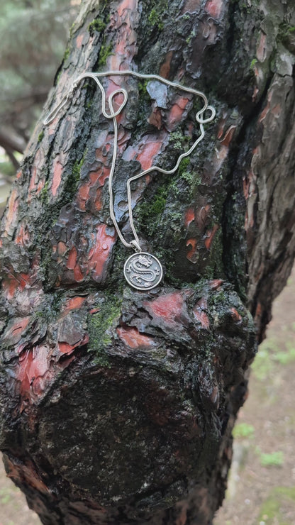 Collier médaillon dragon - Argent sterling 925