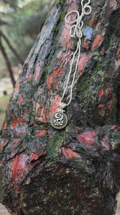 Ay Yıldız ve Bozkurt Kolye (Döner Mekanizmalı) – 925 Ayar Gümüş